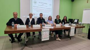 conferenza stampa croce verde